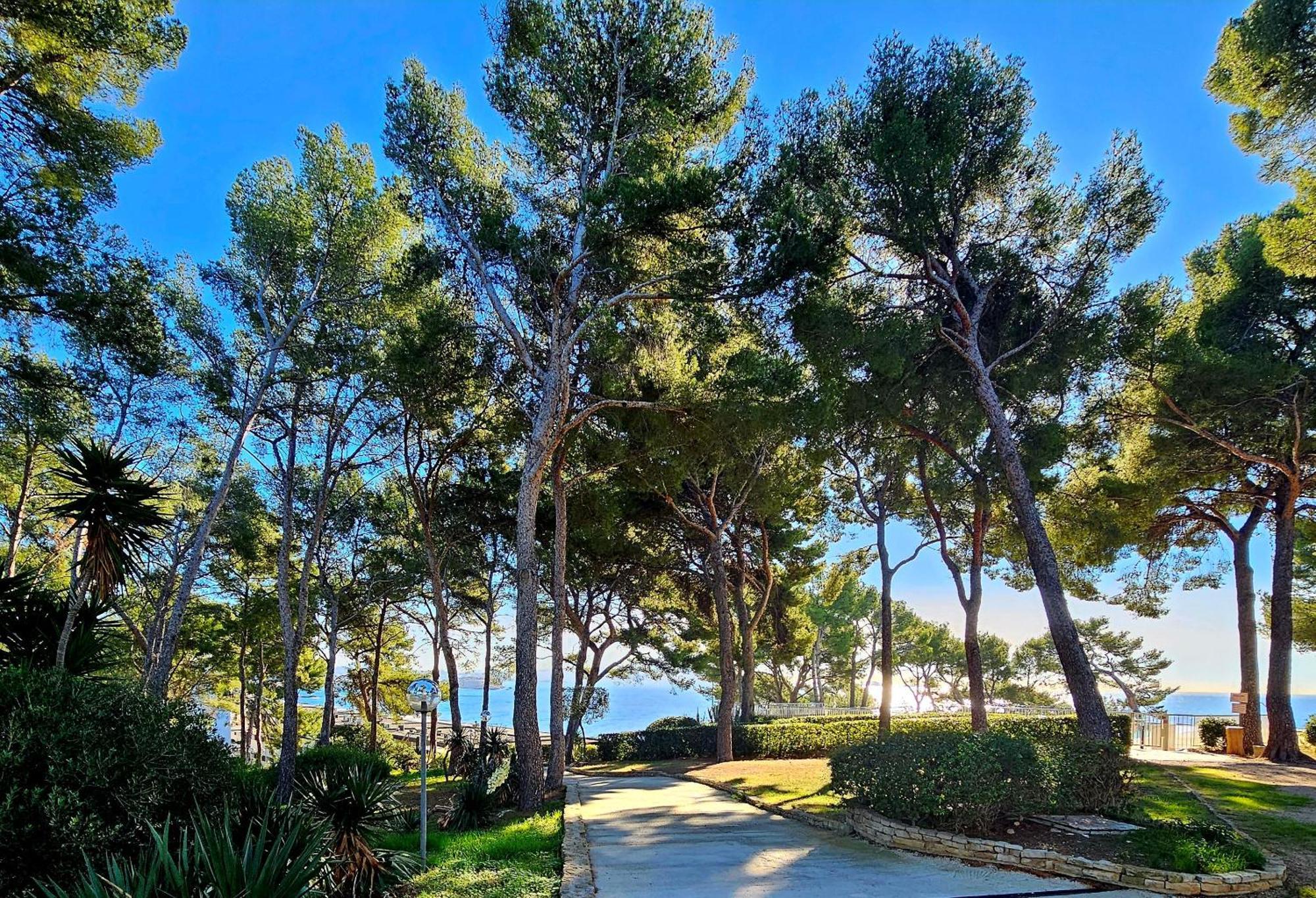 Superbe Appartement Dans Cadre D'Exception - Piscine, Plage Et Tennis Prive Bandol Buitenkant foto
